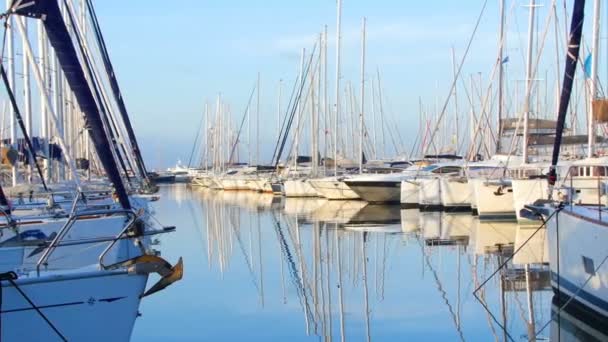 Много красивых парусных яхт и катамаранов пришвартованы к пирсу в греческой марине в Афинах, Средиземноморье, ясное летнее утро, восход солнца. Высокие мачты яхт. Вид с пирса — стоковое видео
