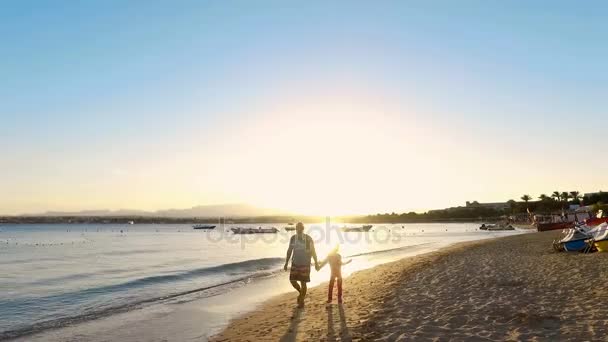 家族の夏の休日のあなたの人生をお楽しみください — ストック動画