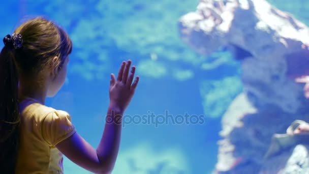 Детские впечатления от подводного мира и его обитателей — стоковое видео