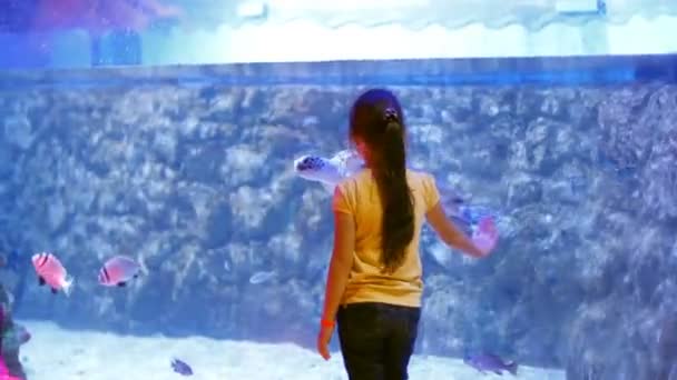 Freundschaft zwischen dem kleinen Mädchen und der Schildkröte. Kindereindrücke über die Unterwasserwelt und ihre Bewohner — Stockvideo