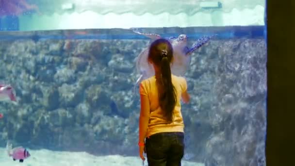 Vriendschap van het meisje en de schildpad. Kind indrukken over de onderwater wereld en haar bewoners — Stockvideo