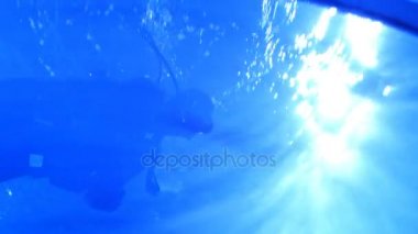 Dalış, sualtı çekim, su sıçrama gün güneşli yaz