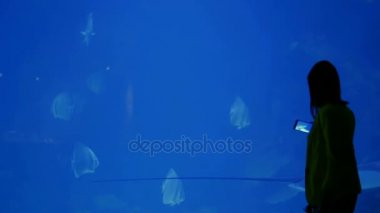 Hurghada, Mısır akvaryumda. Büyüleyici sualtı dünyasını ve modern teknolojiler.