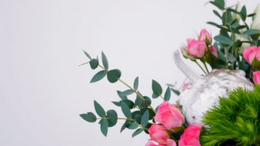 Bilim floristics, sulak
