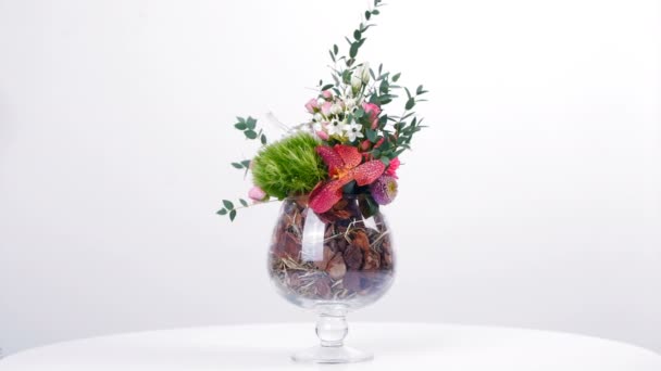 Vetenskap floristik, herbarium — Stockvideo