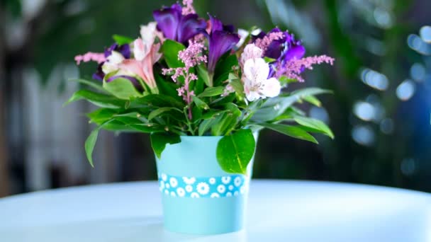Un beau bouquet donnera beaucoup de bonheur et d'émotions joyeuses pendant les vacances en famille — Video