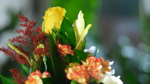 Harmonisch gestalteter Blumenstrauß — Stockvideo