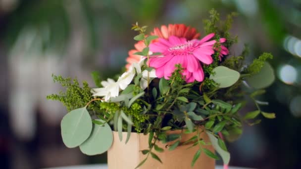 Cadeau de fleurs dans les rayons de lumière — Video