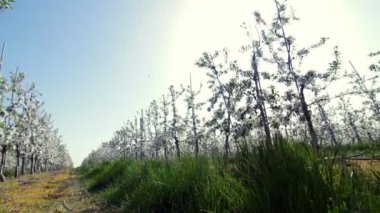 Mutluluk yolunda seviyorum. Değişim Rüzgar duygu özgürlüğün tadını duygu