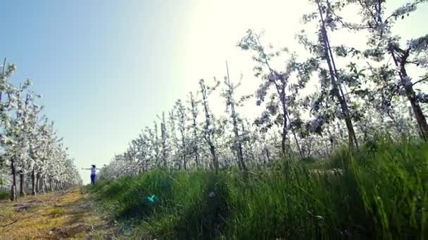 Verso la felicità, amore. Sentire il gusto della libertà, sentire il vento del cambiamento — Video Stock