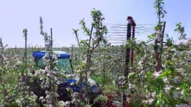 Elma bahçesi, insan ve doğa, Bahçe