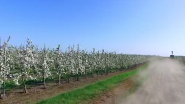 Apple muhteşem Bahçe ilahi güzelliğini