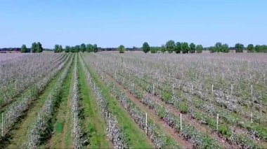 Earth doğanın ilahi, kırılgan güzelliği büyüsü
