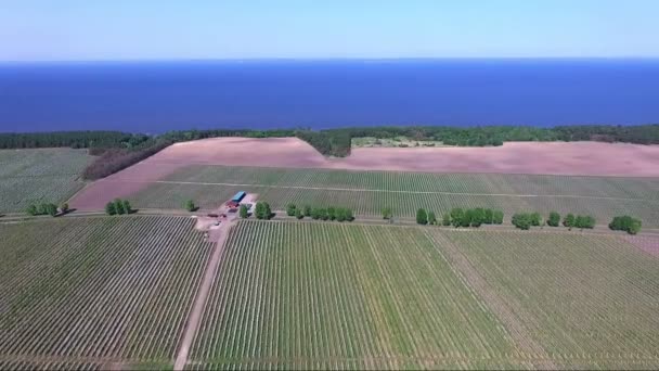 Luchtfoto video, van hoog, op een hoogte, velden van bloeiende appelboomgaarden van bovenaf bekijken — Stockvideo