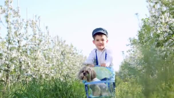 Веселый, милый деревенский мальчик с маленькой собачкой, маленький фермер — стоковое видео