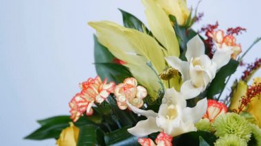yakın çekim. Çiçek, buket, beyaz arka plan, rotasyon çiçek kompozisyon oluşur Rose penny lane, karanfil, Cymbidium orkide, solidago, krizantem santini, Russus, aspidistra