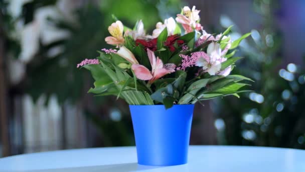 Bukiet kwiatów w promienie światła, rotacji i kompozycji kwiatowych składa się z Russus, Alstremeria, gerbera, solidago. boskie piękno. w tle dużo zieleni — Wideo stockowe