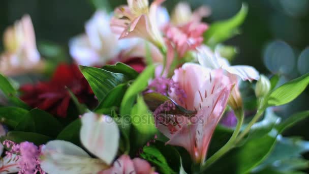 Primer plano, Ramo de flores en los rayos de luz, rotación, la composición floral consta de Russus, Alstroemeria, gerbera, solidago. belleza divina. en el fondo un montón de vegetación — Vídeos de Stock