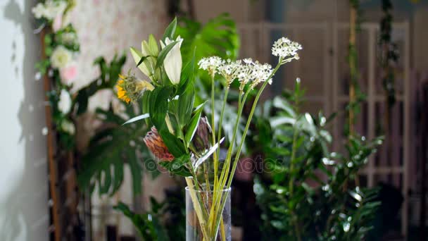 Bouquet de fleurs dans les rayons de lumière, rotation, en arrière-plan beaucoup de verdure — Video