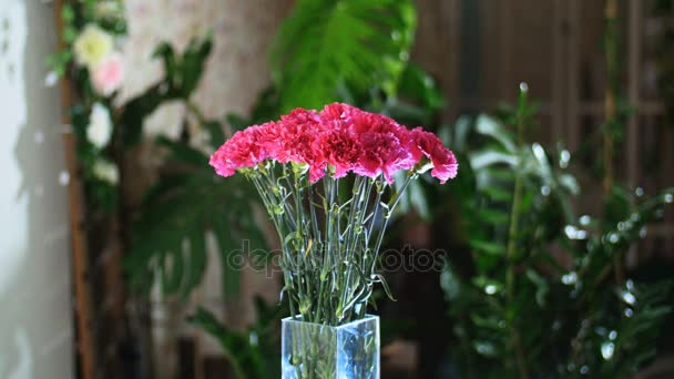 Квітковий букет в променях світла, обертання, квіткова композиція складається з яскраво-рожевих турецьких гвоздик На задньому плані багато зелені — стокове відео