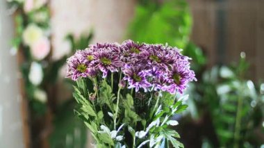 Işık, döndürme, çiçek kompozisyon ışınları içinde çiçek buketi mor krizantem saba oluşur. Arka planda bir sürü yeşillik