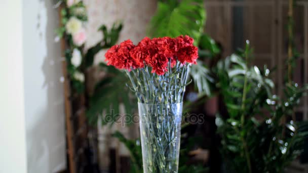 Bouquet de fleurs dans les rayons de lumière, rotation, la composition florale se compose de rouge vif oeillet turc En arrière-plan beaucoup de verdure — Video