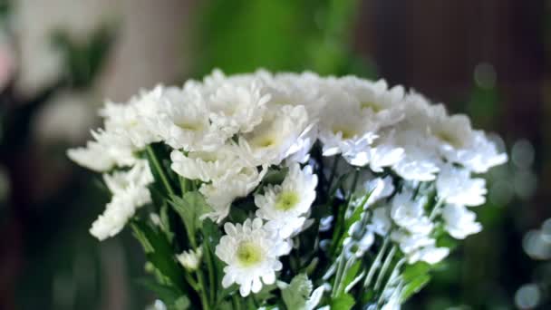 Крупним планом, квітковий букет в променях світла, обертання, квіткова композиція складається з білої хризантеми ромашки бакарді. На задньому плані багато зелені — стокове відео