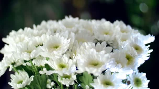 Close-up, Buquê de flores nos raios de luz, rotação, a composição floral consiste em branco Chrysanthemum Camomile bacardi. No fundo um monte de vegetação — Vídeo de Stock