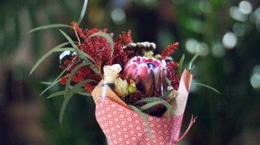 Işık, döndürme, ışınları içinde çiçek buketi çiçek kompozisyon oluşur solidago, okaliptüs, Brunia yeşil, Protea, kar tanesi yükseldi. Arka planda bir sürü yeşillik