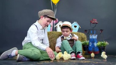 İki köy, şık giyimli erkek ördek yavrusu ve tavuk, Samanlık, arka planda renkli kuş evleri, balonlar ve çiçek oynamak.
