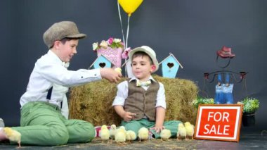 Köy, şık giyimli erkek ördek yavrusu ve tavuk ile oynamak. Stüdyo ile tematik dekorasyon video. Tabela Satılık
