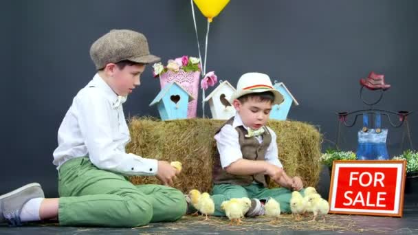 Två byn, stilfullt klädd pojkar spelar med ankungar och kycklingar, i bakgrunden en höstack, färgade fågel hus, ballonger och blommor. Namnskylt till salu — Stockvideo