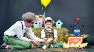 İki köy, şık giyimli ducklings ve tavuk, Samanlık, arka planda renkli kuş evleri, balonlar ve çiçekler oynayın çocuklar. Satılık bir yazıt ile bir tabak