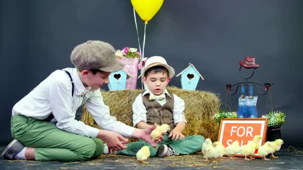 Två byn, stilfullt klädd pojkar spelar med ankungar och kycklingar, i bakgrunden en höstack, färgade fågel hus, ballonger och blommor. en tallrik med en inskription, till salu — Stockvideo