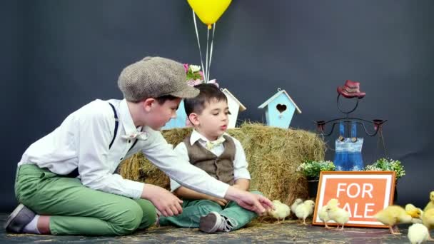 Pueblo, chicos vestidos con estilo juegan con patitos y pollos. Estudio de vídeo con decoración temática. una placa con una inscripción, para la venta — Vídeos de Stock