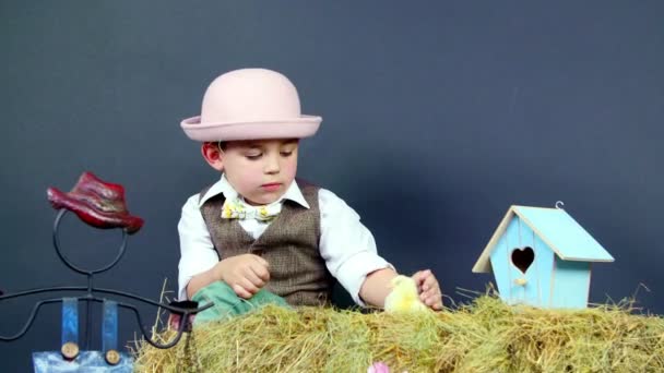 Dorp, stijlvol gekleed schattige kleine jongen spelen met kuikens en kippen, studio video met thematische inrichting — Stockvideo