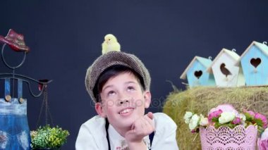 şık giyimli erkek ördek yavrusu ve tavuk, arka plan, samanlıkta oynamaya renkli kuş evleri ve flowers.studio video tematik bir dekorasyon ile çekim.
