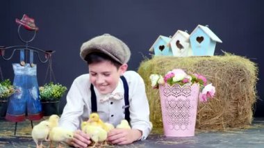 Bir rustik, şık giyimli erkek ördek yavrusu ve tavuk, arka plan, samanlıkta oynamaya renkli kuş evleri ve flowers.studio video tematik bir dekorasyon ile çekim