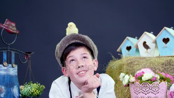Stylishly dressed boy playing with ducklings and chickens, a haystack in the background, colored bird houses, and flowers.studio video shooting with a thematic decoration. — Stock Video