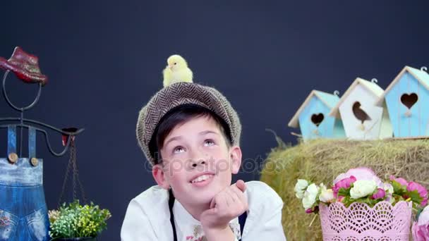 Elegantemente vestido niño jugando con patitos y pollos, un pajar en el fondo, casas de aves de colores, y flores.studio video de rodaje con una decoración temática . — Vídeos de Stock