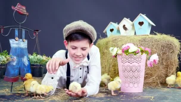 Χωριού, ντυμένοι κομψά χαριτωμένο αγόρι παίζει με τα παπάκια και τα κοτόπουλα, στούντιο βίντεο με θεματική διακόσμηση. Στο βάθος μια θυμωνιά χόρτου, χρωματιστά σπίτια πουλιών, και τα λουλούδια. — Αρχείο Βίντεο