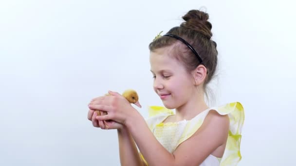 Portret, een mooi schattig klein meisje speelt met een klein geel eendje. Studio video op witte achtergrond — Stockvideo