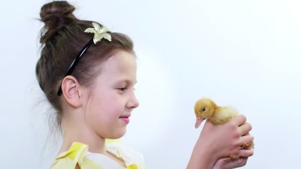 Πορτραίτο, ένα πολύ χαριτωμένο μικρό κορίτσι παίζει με ένα μικρό κίτρινο παπάκι. Στούντιο βίντεο σε λευκό φόντο — Αρχείο Βίντεο