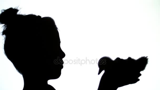 On a white background black outlines, figures, silhouettes of a profile of a little girl and a small duckling in her hands. The girl is playing with a duckling — Stock Video