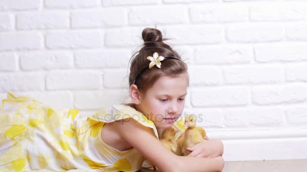 Ein kleines süßes Mädchen in einem gelben Kleid spielt mit drei kleinen gelben Entchen und füttert sie mit Kräutern. Entchen trinken Wasser aus einem Teller. drinnen, auf weißem Hintergrund. — Stockvideo
