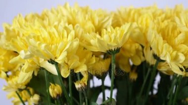 Çiçek, buket, rotasyon arka plan beyaz, sarı papatya papatya çiçek kompozisyon oluşur .