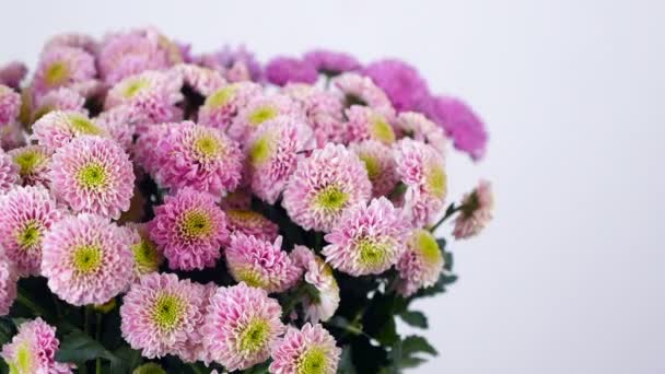 Zbliżenie, kwiaty, bukiet, obrót na białym tle, kompozycji kwiatowych składa się z różowym Santini — Wideo stockowe