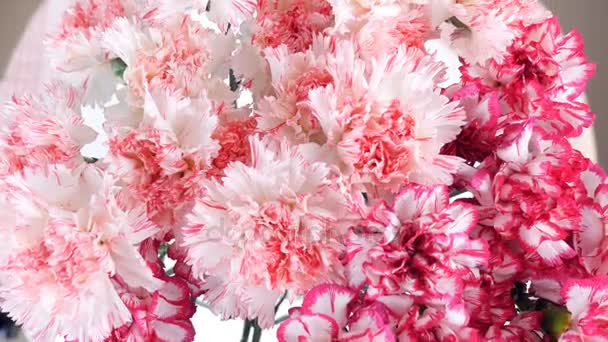detail, pohled shora, květiny, kytice, rotace, květinové kompozice je tvořen jemně světle růžové turecké karafiát