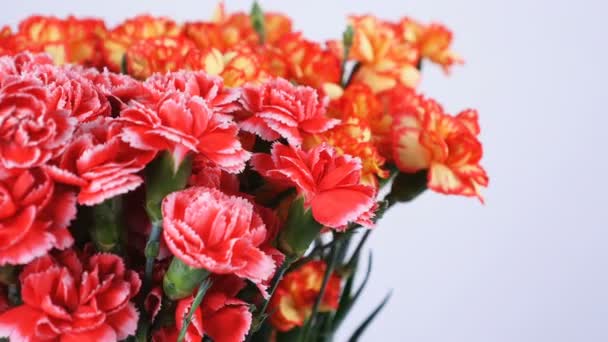 Close-up, bloemen, boeket, rotatie op witte achtergrond, bestaat uit heldere gele, oranje en roze Turkse anjer. — Stockvideo