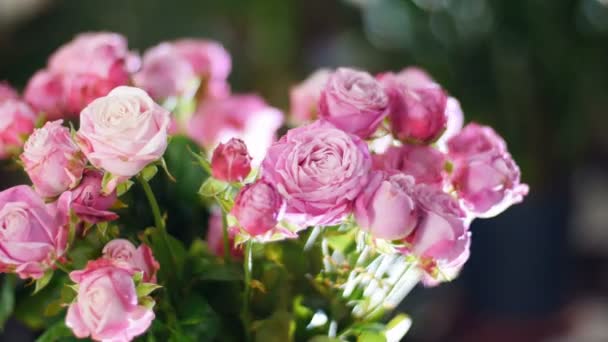 Närbild, blombukett i strålar av ljus, rotation, blommig sammansättning består av rosa rosor, gudomliga skönhet — Stockvideo